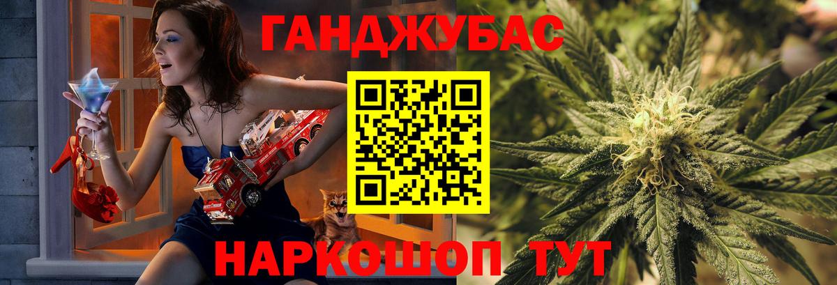Каннабис планчик Сосновый Бор